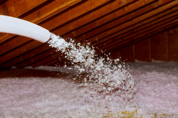 Best Commercial Insulation Services  in St Augustine South, FL