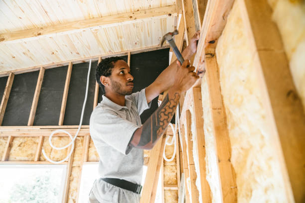 Best Attic Insulation Installation  in St Augustine South, FL